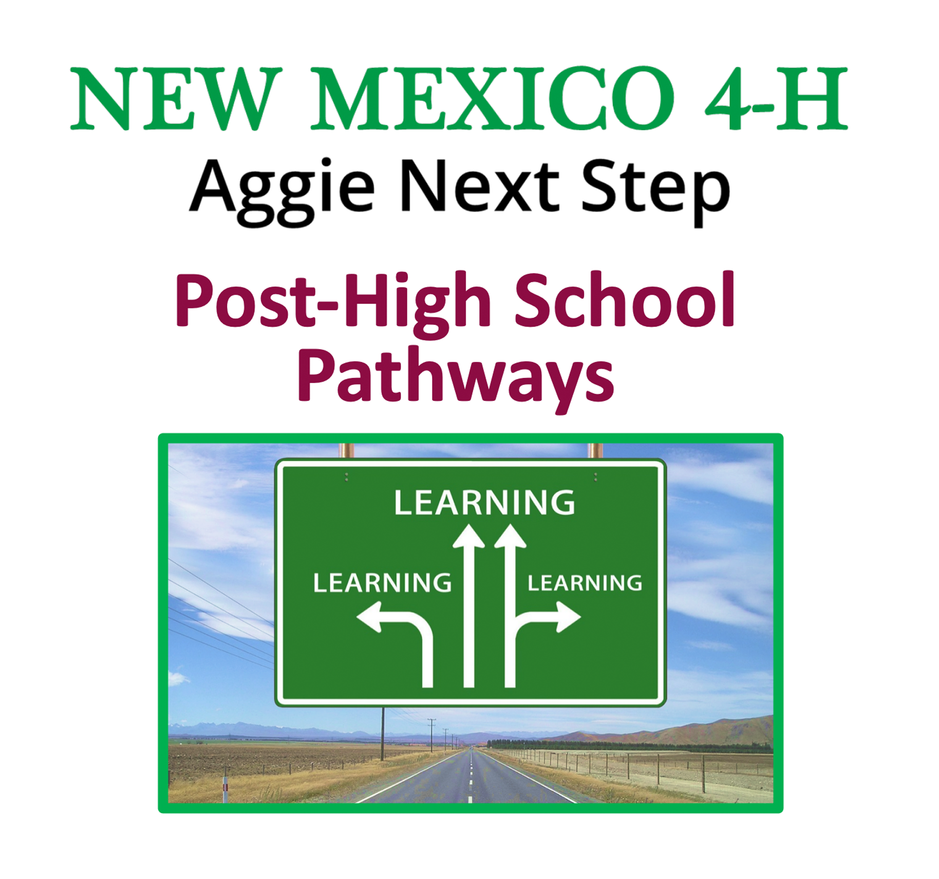 Post-High School Pathways